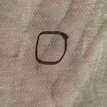 Ports 1961 Yellow Lace Sheer Short Sleeve Top Photo 3