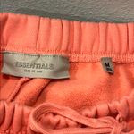 Fear of god Essentials  Shorts Photo 3