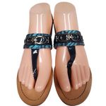 Coach ✨ Ladies Sammy Turquoise Blue Zebra Ankle Strap Sz 9 Sandals✨ Photo 0