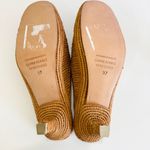 CARRIE FORBES Port Raffia Kitten Photo 6