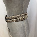 BCBGMAXAZRIA Cream and Black Belt Photo 2