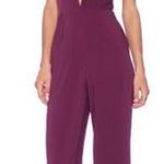 Low Cut Low Back Jumpsuit Purple Photo 0