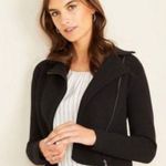Ann Taylor NWT  Knit Moto Jacket Photo 0