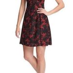 Kensie floral burnout velvet vneck flare dress black and red Size 2 Photo 0