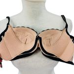 Eve's Temptation Black Lace Lined Lift Bra 32C Size undefined Photo 5