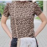 ZARA  Leopard Print Lightweight Ruffled Turtle Neck Short Sleeve M Brown Black Photo 1