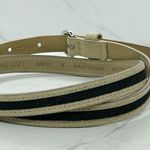 Loft Ann Taylor Skinny Faux Suede Belt Silver Buckle Medium (M) β¨ Photo 3