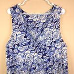 Aritzia  Sunday Best Women’s Floral Blue and White Sleeveless Dress Photo 1