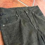 Citizens of Humanity Mandy Gecko Print Retroslim Roll Up Pants Size 28 Photo 1