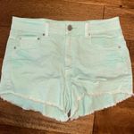 American Eagle Outfitters Mint Green Shorts Photo 0