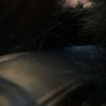 Balenciaga Boudoir Feather Slide Sandal size 37 Photo 9