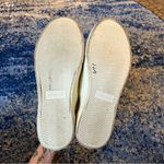 Everlane the Forever Sneaker in Sycamore Photo 7