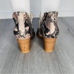 Fergalicious  Snakeskin Pattern Ankle Booties size 5 Photo 3