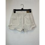 American Eagle  Outfitters Highest Rise 90s Boyfriend Carpenter Short Womens 24 Photo 1