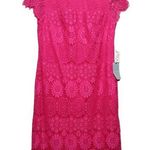 Eliza J  Scalloped Lace Dress - Size 4 - NWT Photo 0