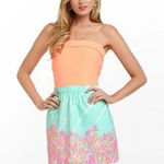Lilly Pulitzer  Fleur Crash Landing Strapless Dress Size XS Photo 0