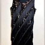 Dress Forum FORUM Roaring 20’s Gatsby Flapper Fringe Black Vintage Dress Women’s Sz XS EUC Photo 0