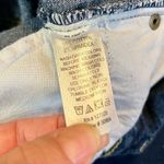 Chadwick's  Straight Blue Jeans 12T Photo 6