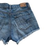 American Eagle AEO Shorts Jean Distress Floral Bird Embroidery Vintage Hi Rise Festival Size 00 Photo 5
