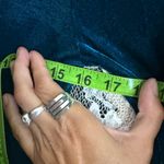 Elegant Teal Velvet bodycon Dress lace cut out see through small NWOT SO SEXY!!! Blue Photo 11