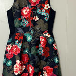 Kaya & Sloane Calinda Floral Fit & Flare Dress Size S NWT – Bold Garden Print Blue Photo 0