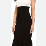 Unique Vintage  NWT Mermaid Trumpet Style Black & White Dress Photo 0