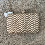 EXPRESS NWT adorable, woven purse with gold pineapple detail Photo 0