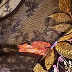 Nicole Miller  Black Floral Applique Mesh Dress Size 2 Photo 5