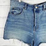 BDG Womens size 31 Denim Cut Off Raw Hem High Waist Button Fly Jean Shorts Photo 2