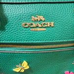 Coach Brand New Green Rowan SatcheL Diary Embroidery Bag Photo 12