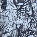 Robert Cavalli Off White Snake Skin Blazer Suit Jacket Size M Photo 2