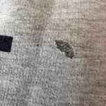 Oxford Pennant Crewneck Sweatshirt, Cropped, Gray and Navy. Buffalo, NY Photo 5