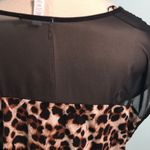 Ambiance Apparel Womens 2X Cheetah Print Chiffon Color Block Career Blouse Siren Size XXL Photo 2