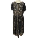Torrid  Black Lace Illusion Neck Skater Dress Size 1X PLUS Photo 6