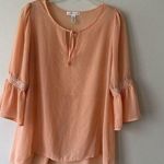 Ambiance Apparel Women's Sheer See Through Blouse Sz L Short Sleeve Lightweigt Size L Photo 0