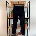 Boden USA Boden High-Rise Velvet Super Skinny Dot Embroidered Pant, 4 Photo 4