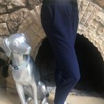 Sanctuary  Blue Black Pull On Polyester Pants Women’s Size Small Photo 2