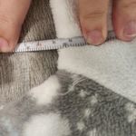 Disney Eeyore Fuzzy Long Sleeve Sweatshirt Size Small Photo 3