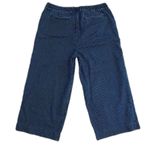 LOFT Wide Leg Draw Cord Waist Pinstripe Jeans, Size XL Relaxed Fit Blue Photo 2