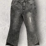 And Now This The Step Hem High Rise Cropped Jeans, Size 14W New w/Tag Retail $49 Photo 1