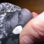 Lululemon Two  tanks with built in sports bra size 6 Photo 3