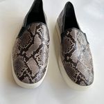 Vince ‎ Snake-Effect Leather Blair-5 Sneakers Shoes Womens Size 9M Slip On Photo 1