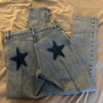 Revice Denim Star Skinny Jeans Photo 1