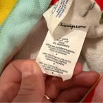 Champion x Urban Outfitters Reverse Weave Watermelon Multicolor Stripe Hoodie S Photo 5