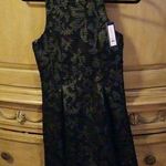 Romeo + Juliet Couture Romeo & Juliet Black dress Photo 0