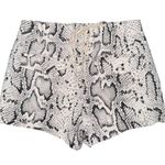 Pam & Gela Snake Print Shorts Lace Up Back Cotton Blend Women’s Size 25 Photo 1