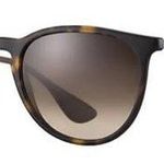 Ray-Ban Erika Brown Gradient Sunglasses Photo 0