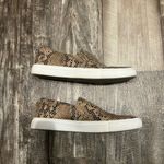 Steve Madden Brown Snake Print Women’s Slip-On Shoes Size 9 Photo 4