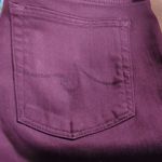 AG Adriano Goldschmied AG The Farrah Skinny High Rise Skinny Maroon Jeans Pants Photo 8