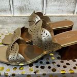 Joie NWT  Soft Gold Heeled Sandal Society‎ size 9.5 Photo 0